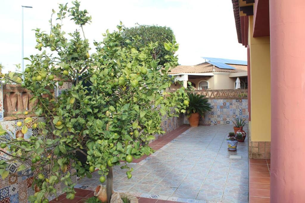 Casa 4 Dormitorios En Аямонте Экстерьер фото